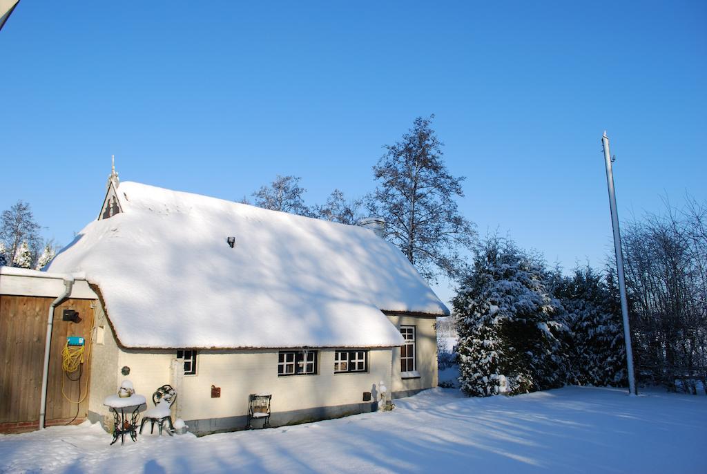 Vakantiehuis It koaihûs Jistrum Buitenkant foto