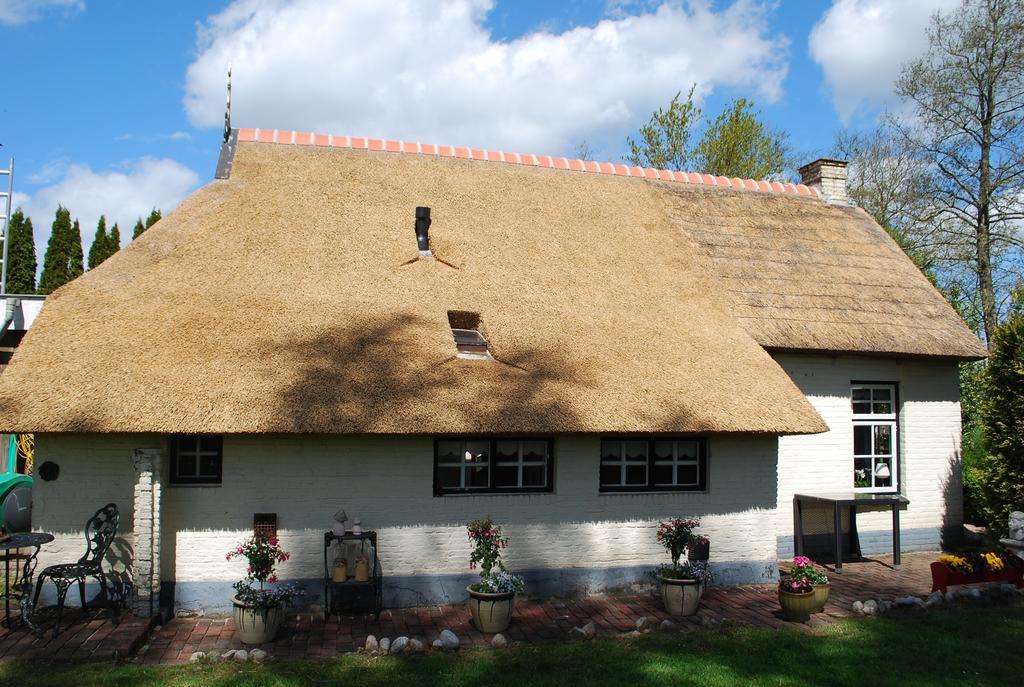 Vakantiehuis It koaihûs Jistrum Buitenkant foto